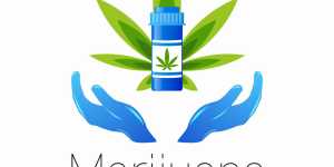InternetMarketingTipCreatingAnOnlineBusinessWithHomeBasedComputerMarketing Power Pot Websites pot websites