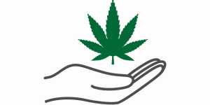 SomeUsefulArticleMarketingInformationAndAdvice Power Pot Websites pot websites