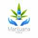  pot websites